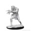 Nolzurs Marvelous Miniatures - Troll